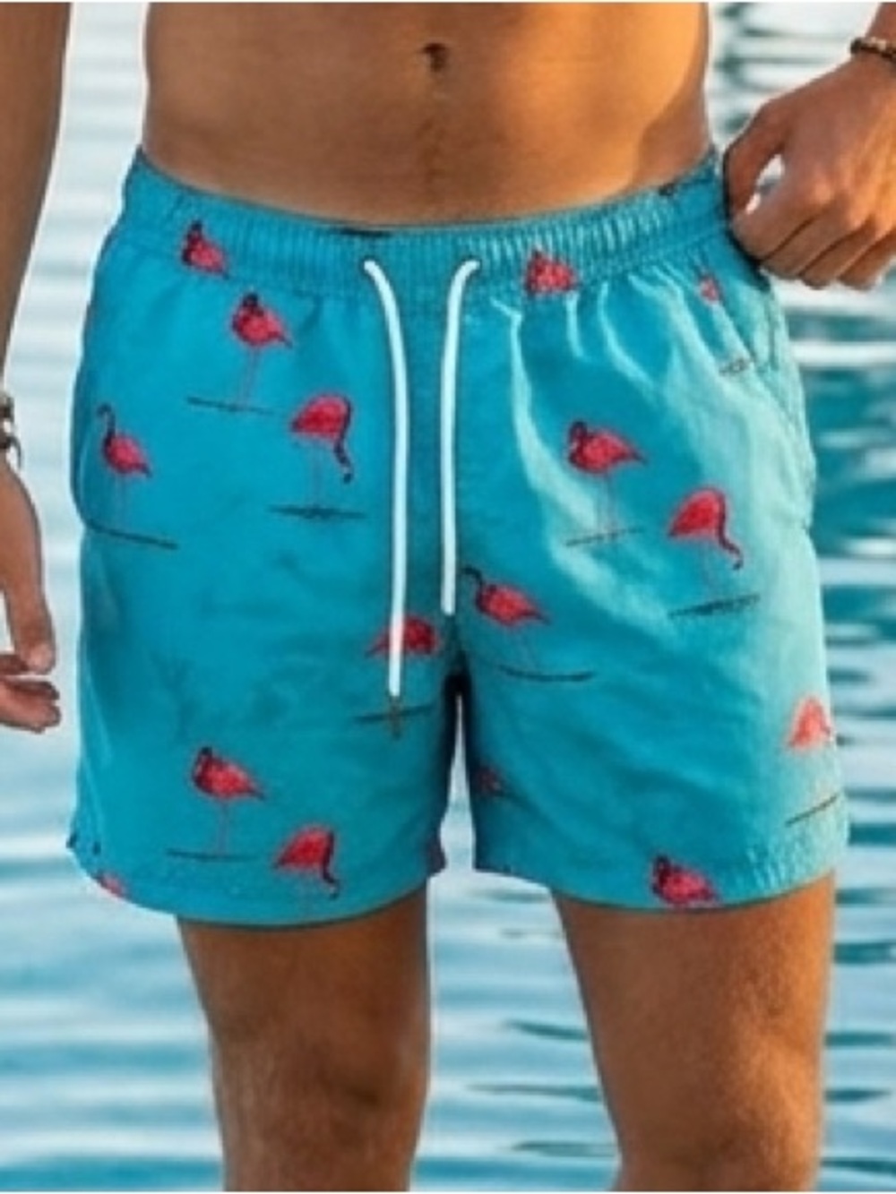 Next Swimwear